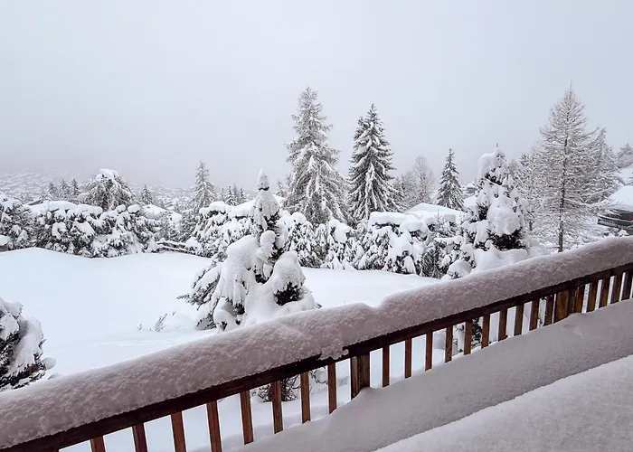 Sainfoin 베르비에