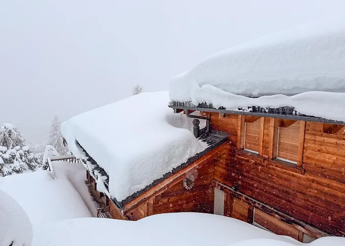 Sainfoin * 베르비에