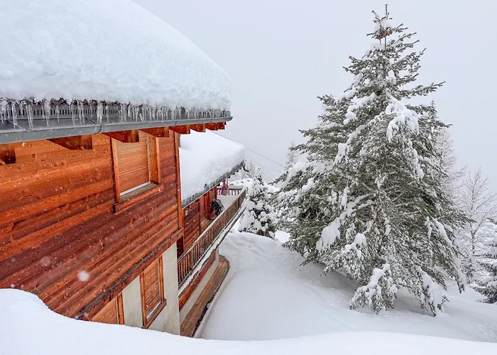 Sainfoin 샬레 베르비에